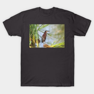 Green Heron Standing Tall T-Shirt